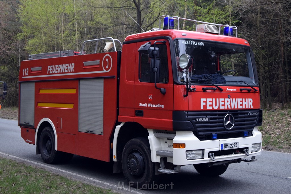 Waldbrand Wahner Heide Troisdorf Eisenweg P307.JPG - Miklos Laubert